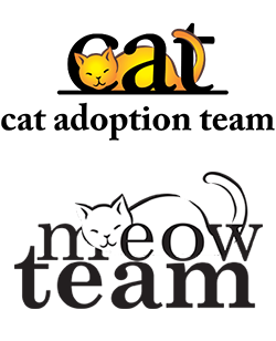 Cat Adoption Team