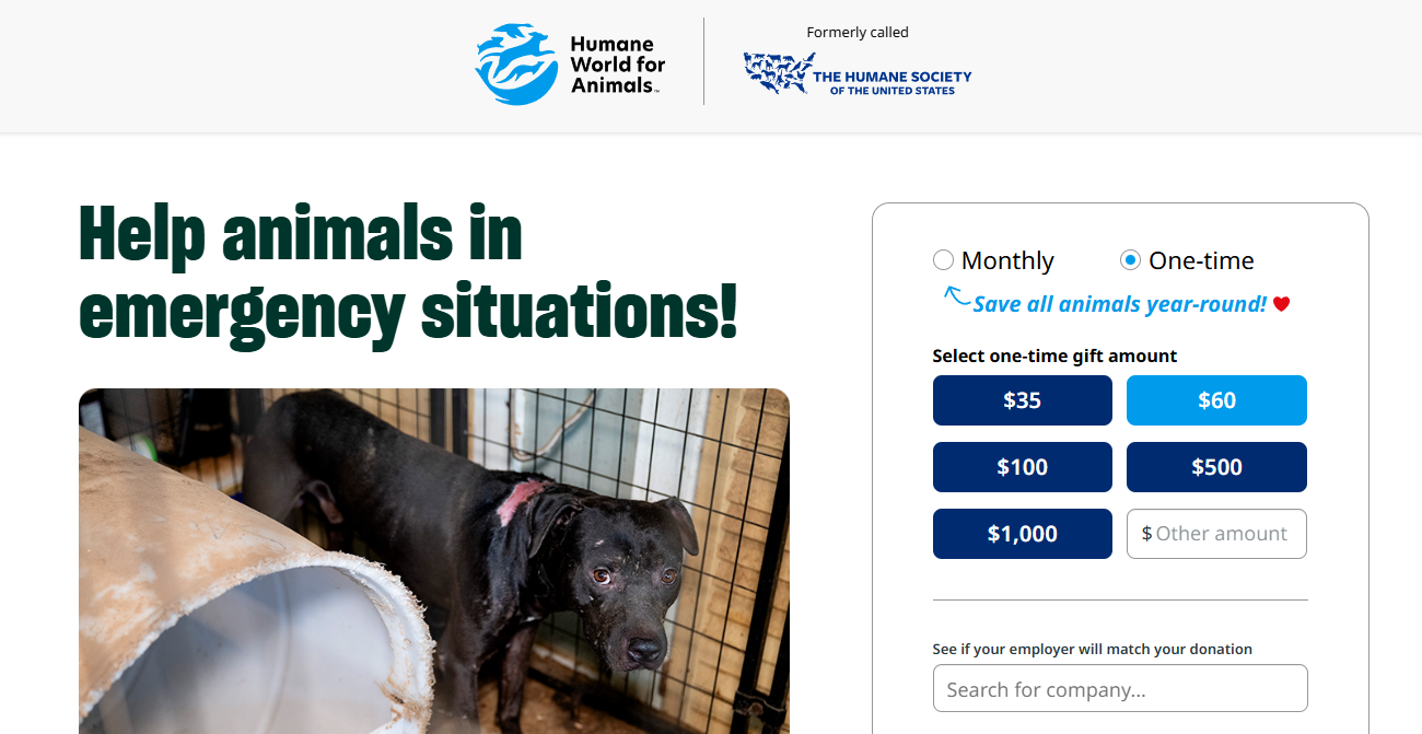 RKD Group_DTD_Matching Gifts & Animal Care Foundations How to Raise More_Humane World for Animals