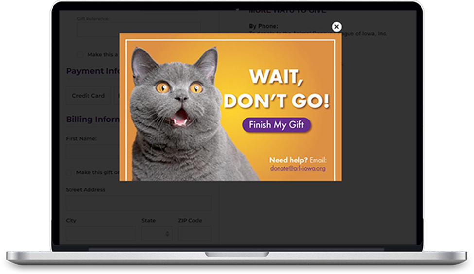 Nonprofit website lightbox example